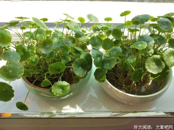 缘起缘灭