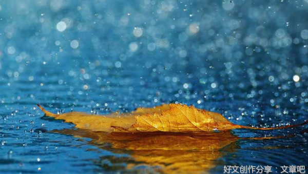 秋淋夜雨，惊醒那一帘幽梦