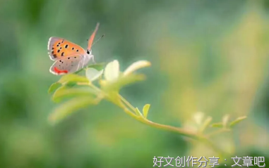 美在我身边