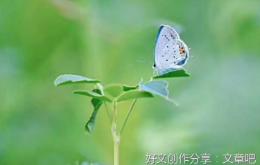 心态决定未来的命运