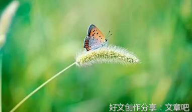 感受父爱的阳光