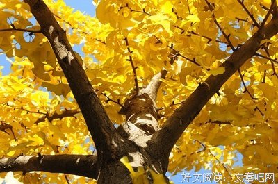 生活先苦后甜