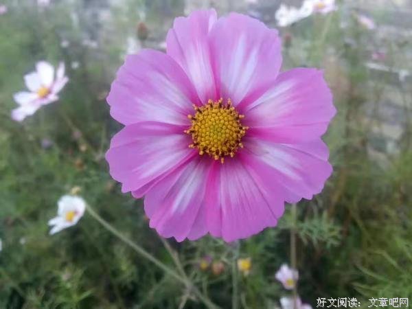 自信缘自你的心态