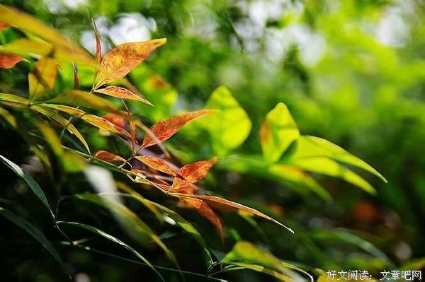 端平心里一碗水