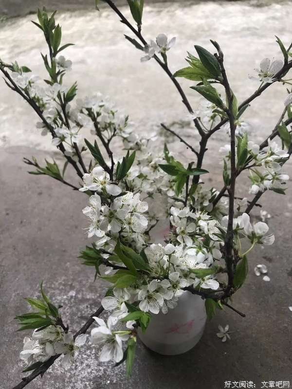 让心不再孤独
