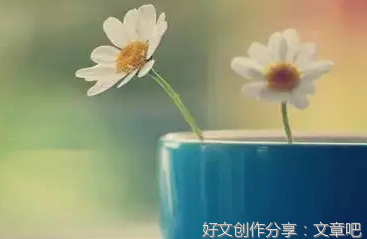 不说闲话，不管闲事，不惹闲人