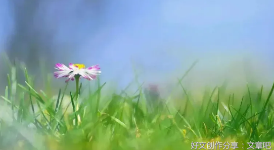 我在秋天遇见你