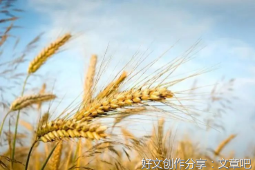 把握好这5条“分钟定律”，人生大不同