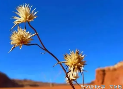 俞敏洪：把眼前的做好，一切就都好了