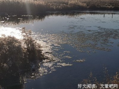 夕阳下的那束光