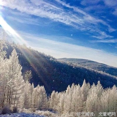 好想一个人去旅行