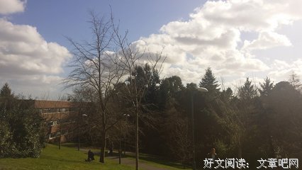 走进婚姻的友情