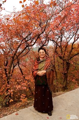 后来，你该如何回忆我