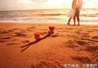 夫妻双双把家还
