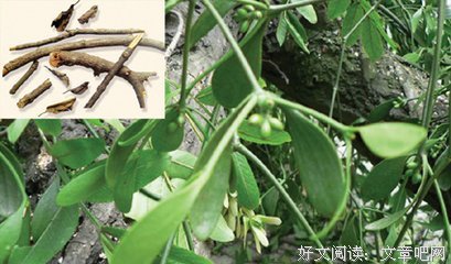 村子里的传说十七：半个长工