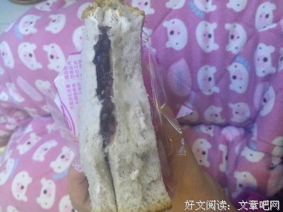 五口之家 三、不许当孝子