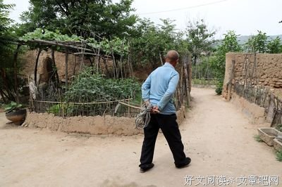 麦子熟了之三 开镰