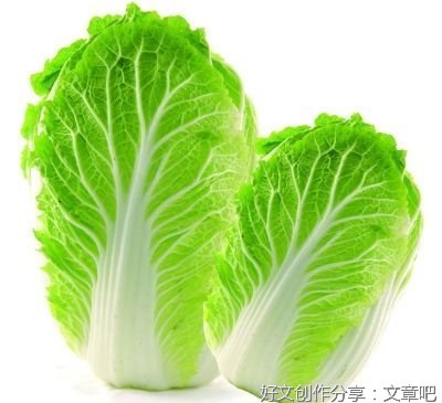 卖大白菜