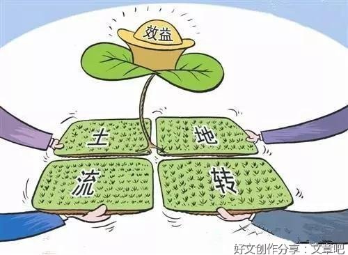 土地流转六葛支书
