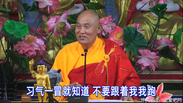 仁德上人 贼我，习气