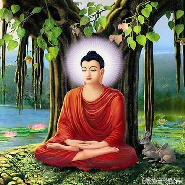 仁德上人 问谁