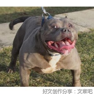 最便宜的，也很可能是最贵的