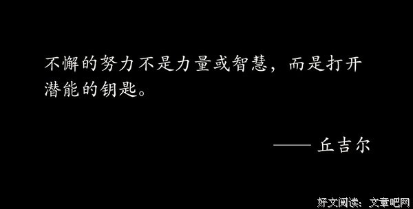 利用即时反馈，建设复杂系统