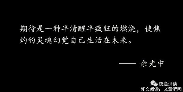 我对“佛系”的理解