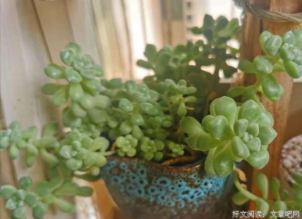 迈向成功的第一步