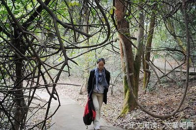 给自己一个狠下心学习的理由