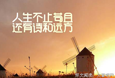 志兮志兮奈若