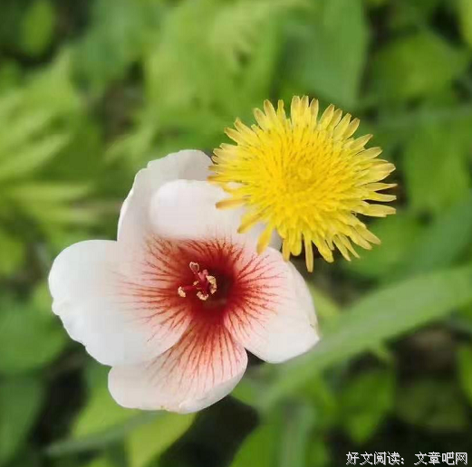 镜头下，你的影子好美