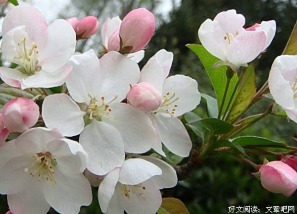此情，用一生去回味
