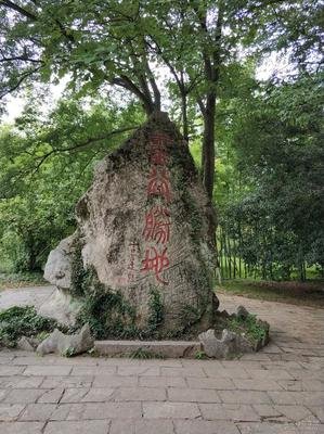 游阅风光
