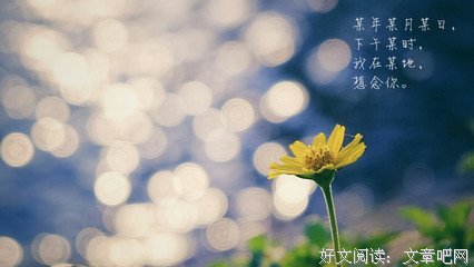 再见了，曾经的爱