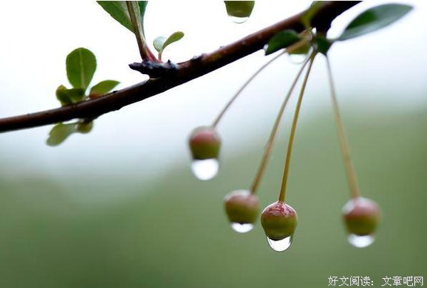 守住初心与梦想，带着微笑乐观前行，早安！