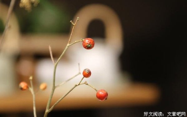 我命，由我不由天，像哪吒一样活着！精辟！