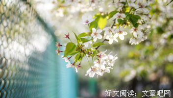 善良的人，自带光芒和福报！