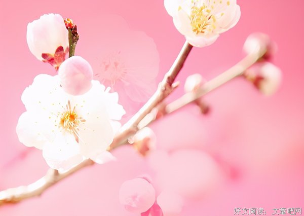 2月你好！愿你所得皆所愿，所有美好能够不期而遇！