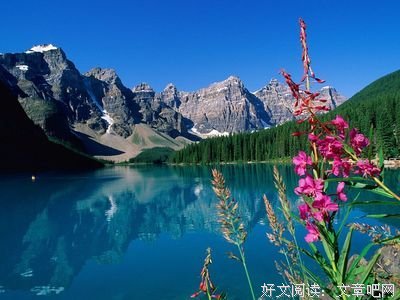 你的心态，就是你的福报！拥有一个好心态，才是幸福的源泉！