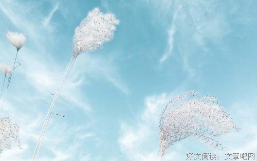 秋日早上的阳光