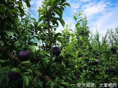  为什么有些人无法摆脱贫穷？