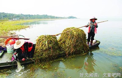  “月薪5000，负债3万”：年轻时就得花钱长见识