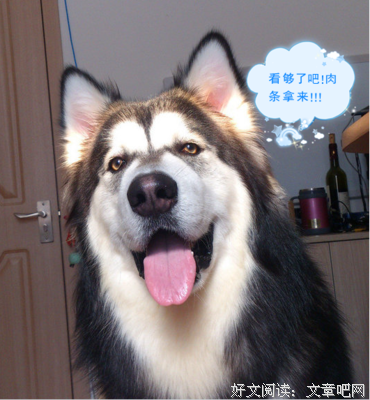  被群众歧视过度的人，容易变态