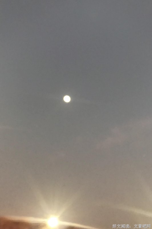 那一次，我的梦想开花了