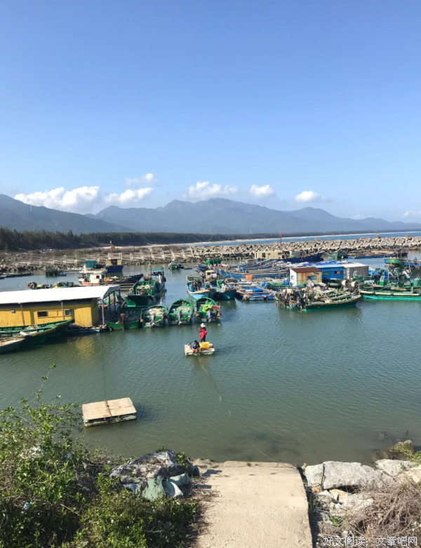 疫时励江城