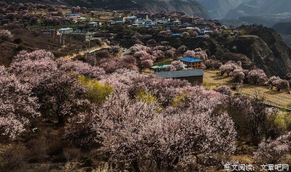 桃花误