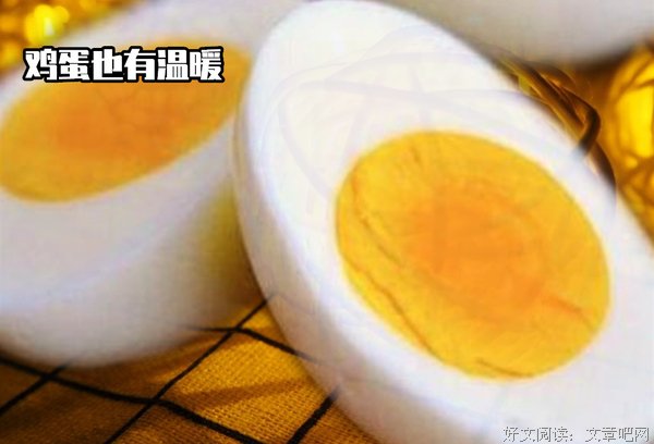 一只鸡蛋传递出的无穷温暖