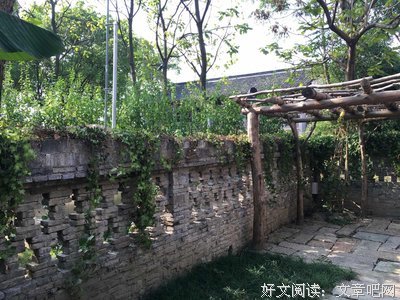 游乌镇时的千般思绪