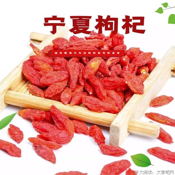 细心去体会，处处都是鲜活的人生滋味